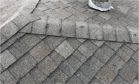 Hail Damage