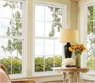 Windows & Doors
